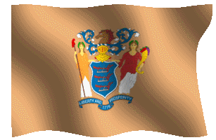 new jersey flag